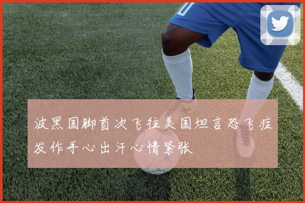 波黑国脚首次飞往美国坦言恐飞症发作手心出汗心情紧张