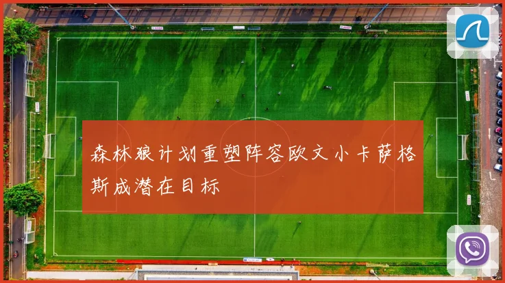 森林狼计划重塑阵容欧文小卡萨格斯成潜在目标