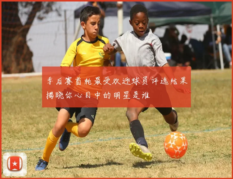 季后赛首轮最受欢迎球员评选结果揭晓你心目中的明星是谁